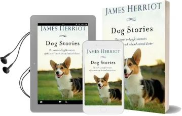 James Herriot'S dog Stories: Warm and Wonderful Stories About the Animals Herriot Loves Best Audiobook download free by James Herriot