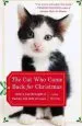 Audiobook The cat who Came Back for Christmas: How a cat Brought a Family the Gift of Love author Julia Romp