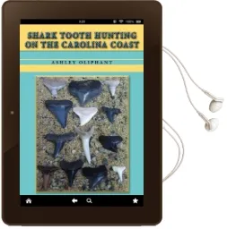 Shark Tooth Hunting on the Carolina Coast Audiobook download free by Ashley Oliphant