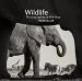 Audiobook Wildlife Photographer of the Year: Portfolio 25 author Natural History Museum