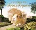 Audiobook A Guinea pig Pride & Prejudice author Jane Austen