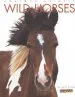 Audiobook Amazing Animals: Wild Horses author Kate Riggs