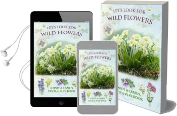 Let'S Look for Wild Flowers Audiobook download free by Andrea Pinnington