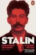 Audiobook Stalin, Vol. i: Paradoxes of Power, 1878-1928 author Stephen Kotkin