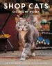 Audiobook Shop Cats of new York author Tamar Arslanian