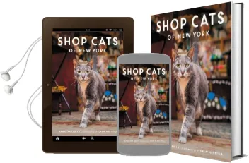 Shop Cats of new York Audiobook download free by Tamar Arslanian