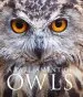 Audiobook A Parliament of Owls author Mike Unwin
