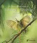 Audiobook A Visual Celebration of Borneo'S Wildlife: [All Royalties Donated to Fauna & Flora International] author Fanny Lai
