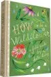Audiobook How to be a Wildflower author Katie Daisy