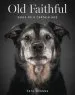 Audiobook Old Faithful: Dogs of a Certain age author Pete Thorne