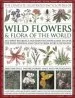 Audiobook Complete Illustrated Encyclopedia of Wild Flowers & Flora of the World author Michael Lavelle
