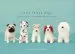 Audiobook Little Felted Dogs author Saori Yamazaki