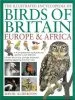 Audiobook The Illustrated Encyclopedia of Birds of Britain Europe & Africa: A Comprehensive Visual Guide and Identifier to Over 550 Birds author David Alderton