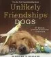 Audiobook Unlikely Friendships: Dogs: 37 Stories of Canine Compassion and Courage author Jennifer S. Holland