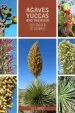 Audiobook Agaves, Yuccas, and Their kin: Seven Genera of the Southwest author Jon L. Hawker