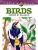 Audiobook Creative Haven Birds Color by Number Coloring Book author George Toufexis
