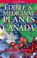 Audiobook Edible and Medicinal Plants of Canada author Andy Mackinnon