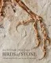Audiobook Birds of Stone: Chinese Avian Fossils From the age of Dinosaurs author Luis M. Chiappe