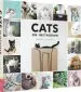 Audiobook Cats on Instagram author @Cats_Of_Instagram