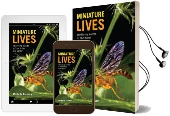 Miniature Lives: Identifying Insects in Your Home and Garden Audiobook download free by Michelle Gleeson