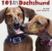 Audiobook 101 Uses for a Dachshund author Willow Creek Press