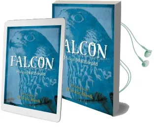 Falcon Audiobook download free by Helen Macdonald