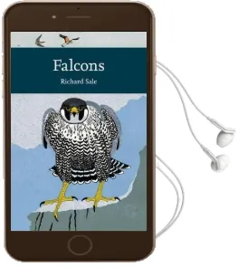 Falcons Audiobook download free by Richard Sale