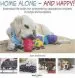 Audiobook Home Alone and Happy!: Essential Life Skills for Preventing Separation Anxiety in Dogs and Puppies author Kate Mallatratt