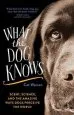 Audiobook What the dog Knows: Scent, Science, and the Amazing Ways Dogs Perceive the World author Cat Warren