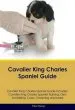 Audiobook Cavalier King Charles Spaniel Guide Cavalier King Charles Spaniel Guide Includes: Cavalier King Charles Spaniel Training, Diet, Socializing, Care, Grooming, Breeding and More author Dr Paul Young