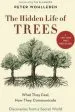 Audiobook The Hidden Life of Trees: What They Feel, how They Communicatea Discoveries From a Secret World author Peter Wohlleben