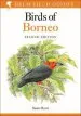 Audiobook Birds of Borneo author Susan Myers