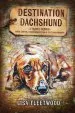 Audiobook Destination Dachshund: A Travel Memoir: Three Months, Three Generations & Sixty Dachshunds author Lisa Fleetwood