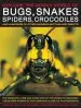 Audiobook Explore the Deadly World of Bugs, Snakes, Spiders, Crocodiles: And Hundreds of Other Amazing Reptiles and Insects author Barbara Taylor