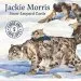 Audiobook Jackie Morris Snow Leopard author Jackie Morris