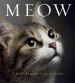 Audiobook Meow: A Book of Happiness for cat Lovers author Anouska Jones