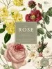 Audiobook The Rose author Brent Elliott