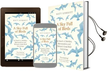 A sky Full of Birds Audiobook download free by Matt Merritt