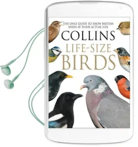 Collins Life-Size Birds: The Only Guide to Show British Birds at Their Actual Size Audiobook download free by Paul Sterry