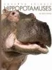 Audiobook Hippopotamuses author Kate Riggs
