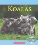 Audiobook Koalas author Josh Gregory