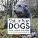 Audiobook Native Irish Dogs author Shane Mccoy