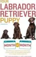 Audiobook Your Labrador Retriever Puppy: Month by Month, 2nd Edition author Terry Albert