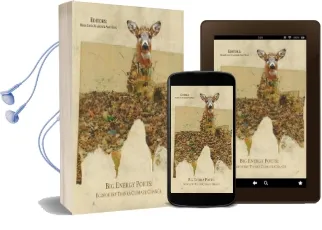 Big Energy Poets: Ecopoetry Thinks Climate Change Audiobook download free by Amy King