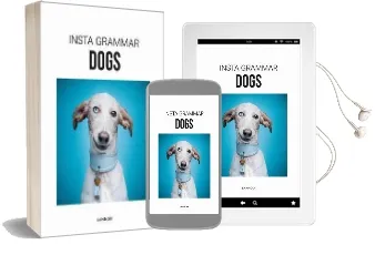 Insta Grammar Dogs Audiobook download free by Irene Schampaert