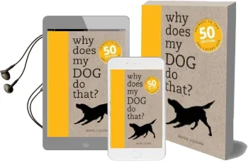 Why Does my dog do That?: Answers to the 50 Questions dog Lovers ask Audiobook download free by Sophie Collins