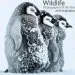 Audiobook Wildlife Photographer of the Year: 2016 Highlights author Rosamund Kidman Cox