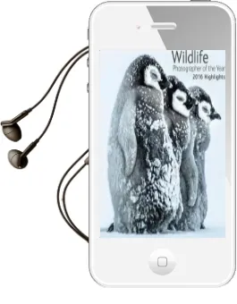 Wildlife Photographer of the Year: 2016 Highlights Audiobook download free by Rosamund Kidman Cox