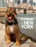 Audiobook Canines of new York author Heather Weston