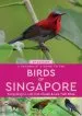 Audiobook A Naturalist'S Guide to the Birds of Singapore author Yong Ding Li